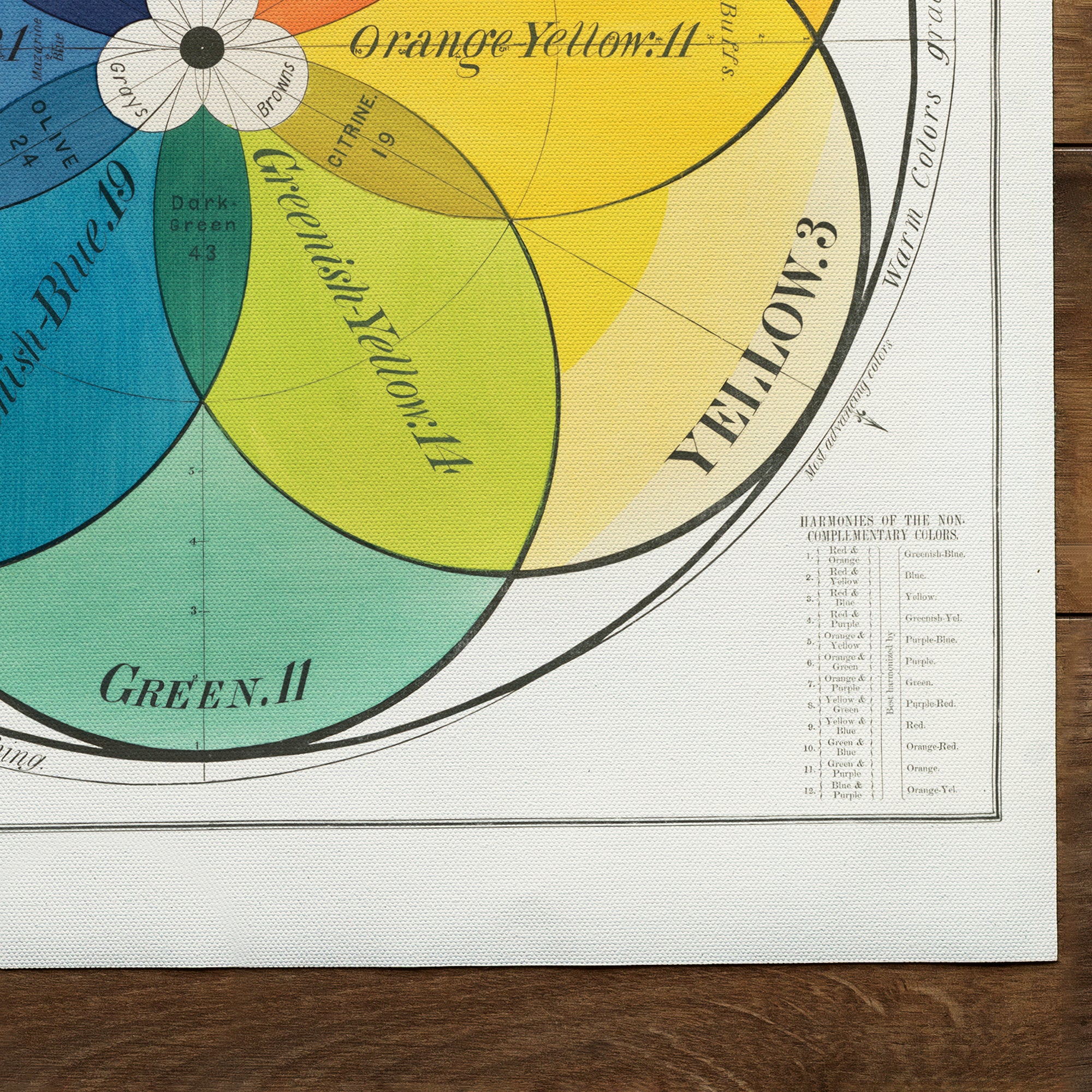 Color Spectrum School Family Chart (undated)