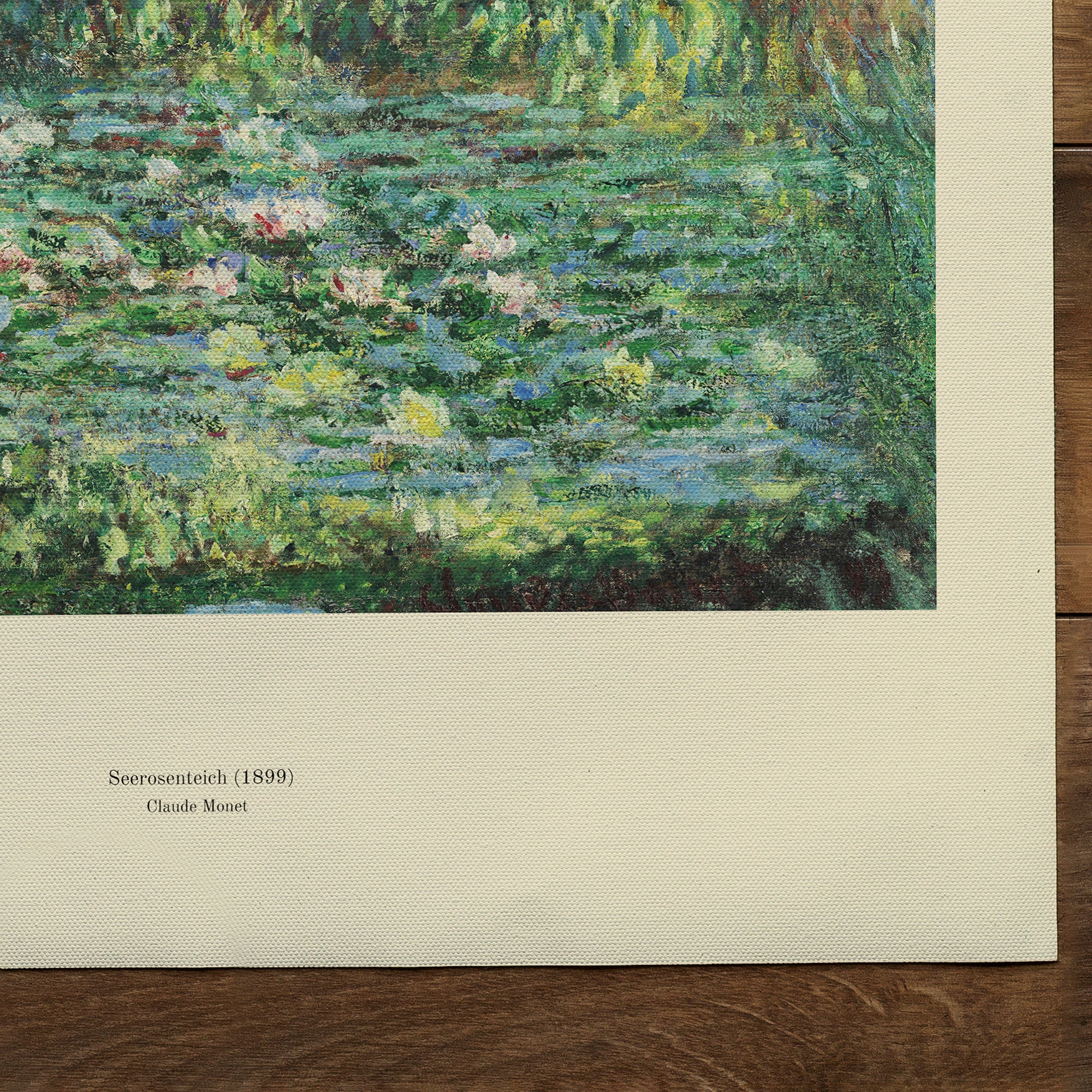 water lily pond (1899)