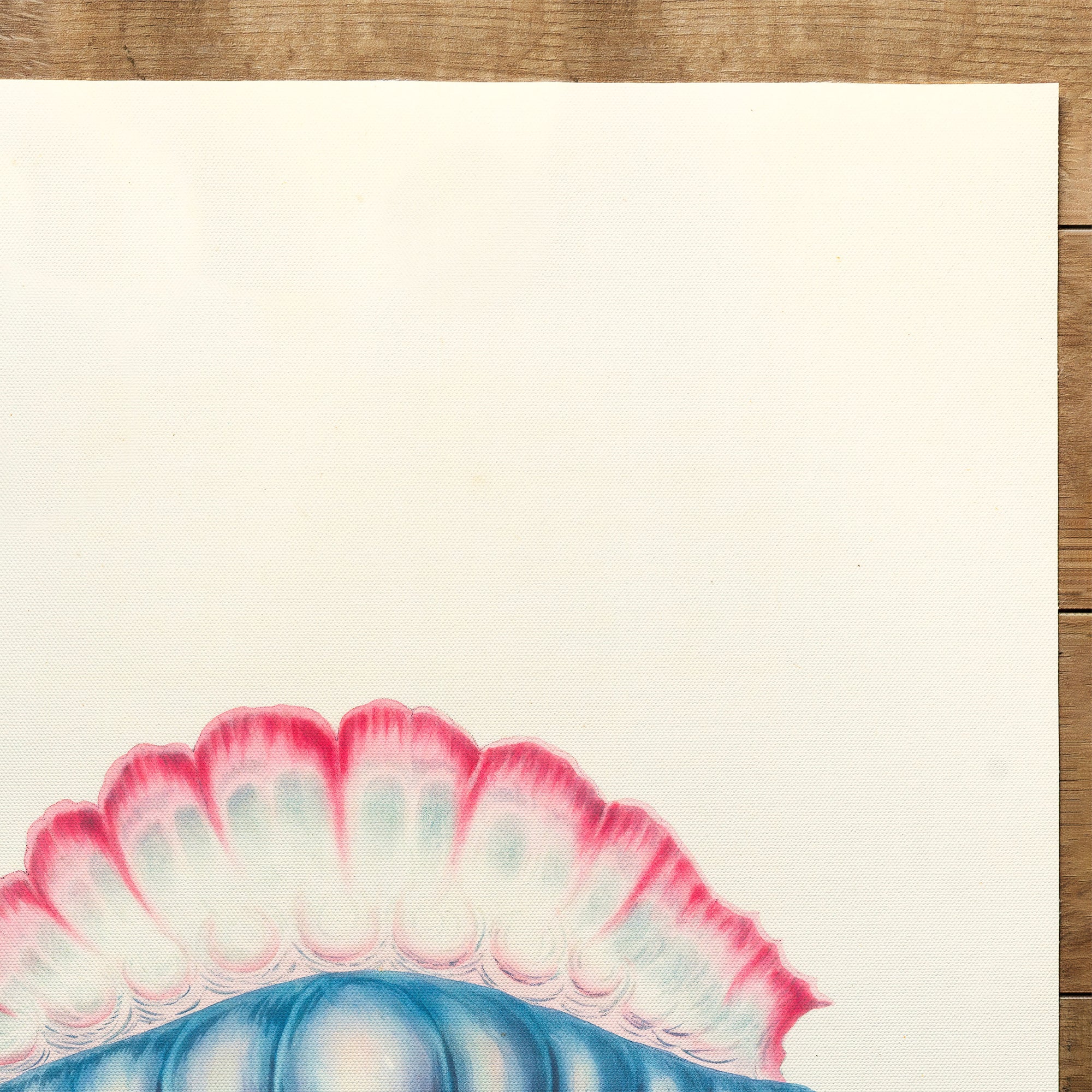 Medusa Hydrozoan Portuguese Man Of War (1813)