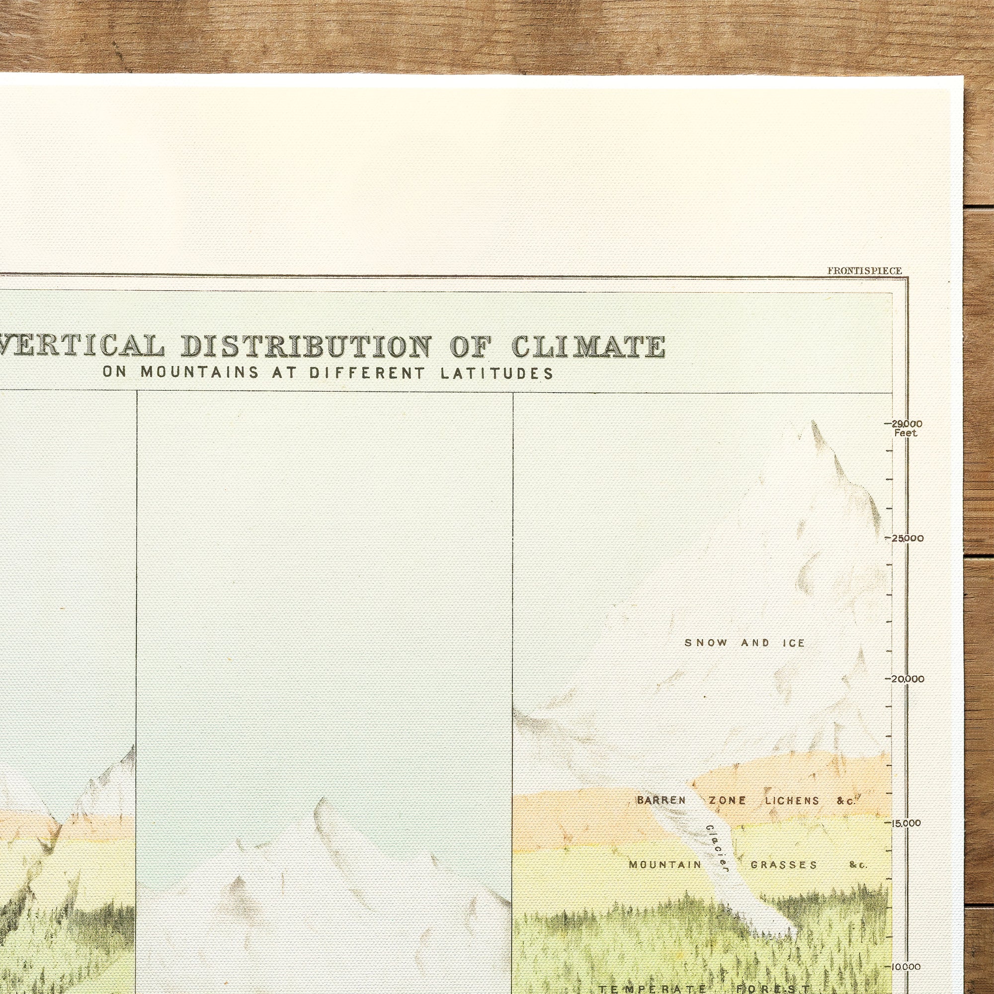 Ecology Climate Poster (1891)