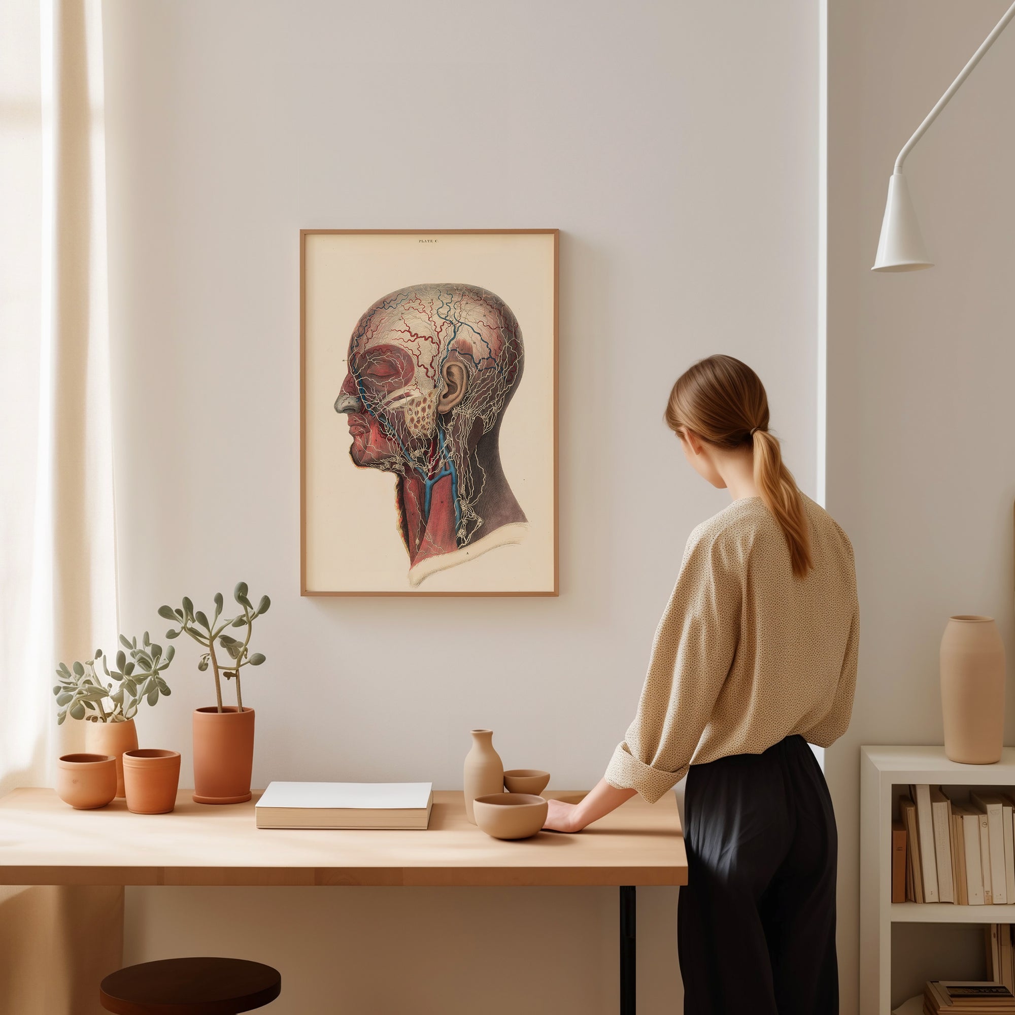 Anatomy Head And Throat (1840)