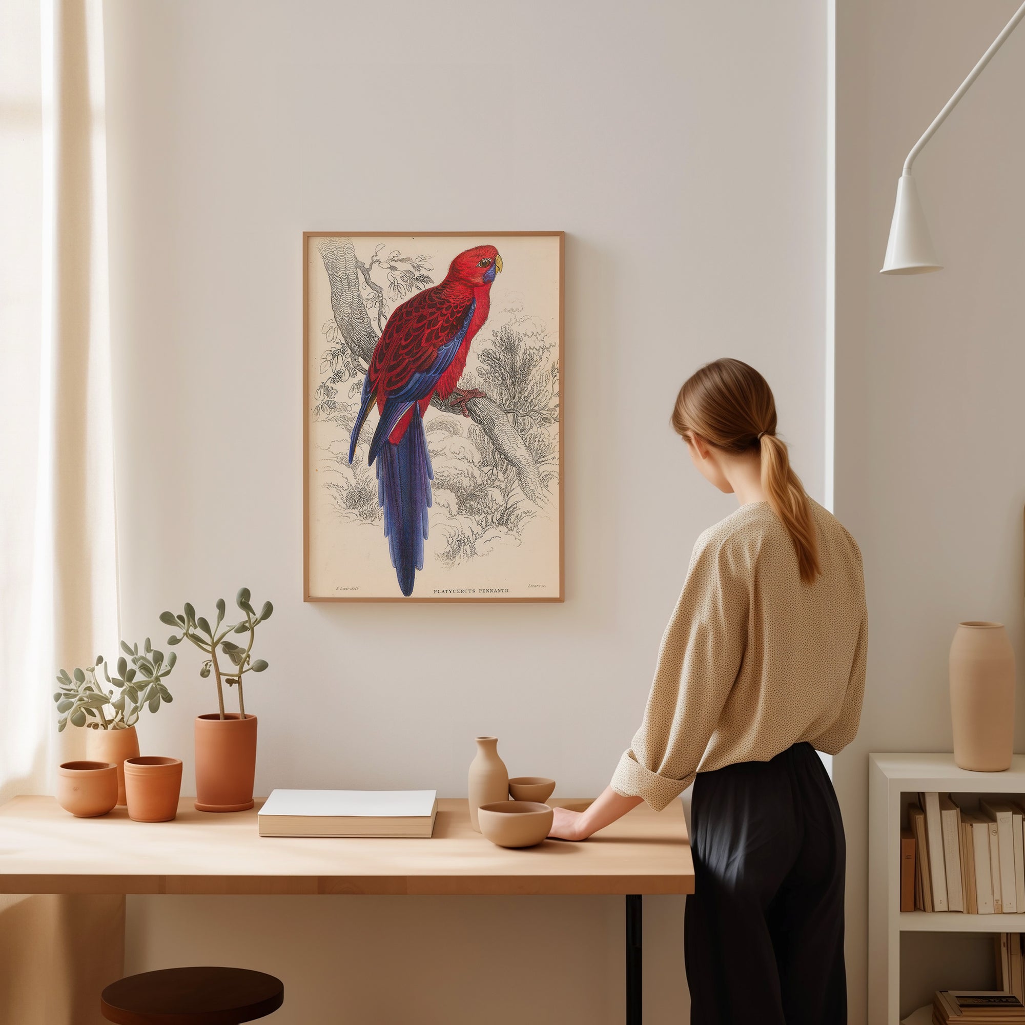 Parrot Crimson Rosella (1836)