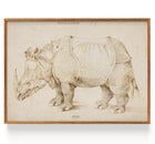 Rhinoceron (1515)