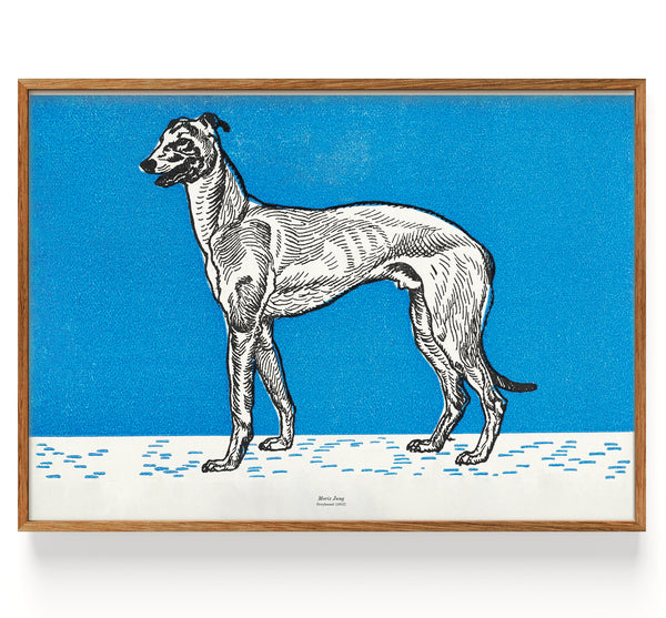 Greyhound Fauna (1912)