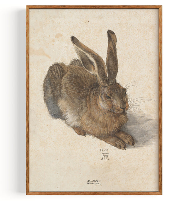 Hare (1502)