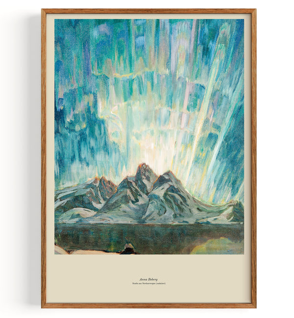Northern lights study in Norway (undated)