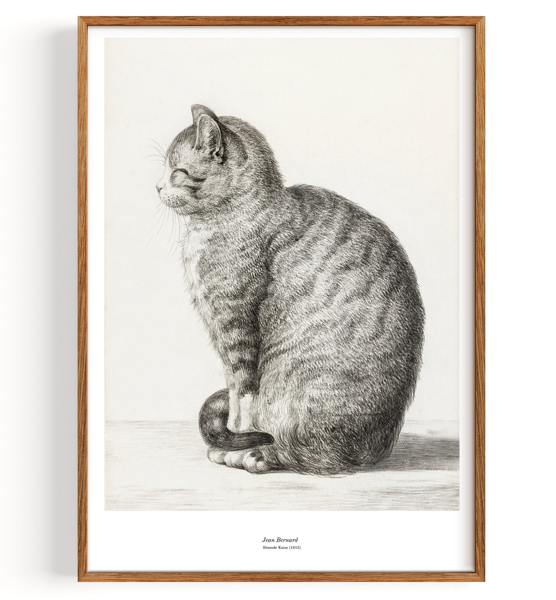 Sitting Cat fauna (1815)