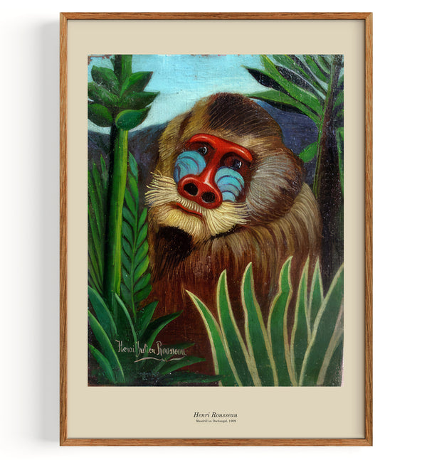 Mandrill in the Jungle (1909)