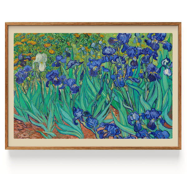 Irises (Front) (1889)