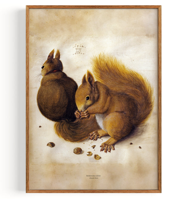 squirrel (1512)