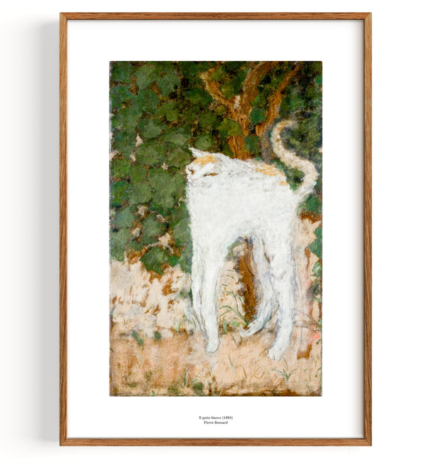 The White Cat (1894)