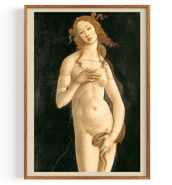 Venus Pudica (1445-1510)