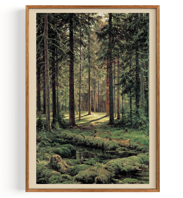 Coniferous Forest, Sunny Day (1895)