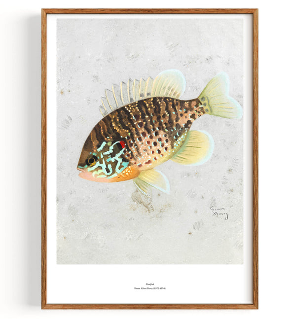 Sunfish (1869-1954)