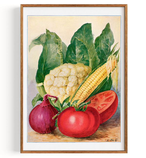 Vegetable watercolor illustration (1915)