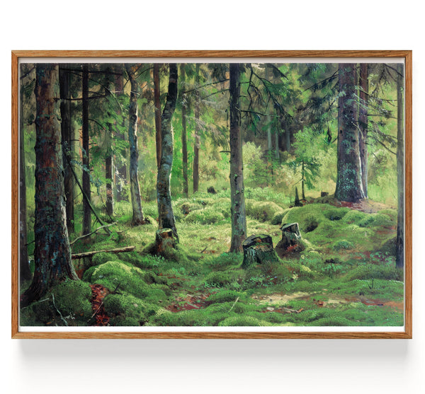 Deadwood (1893)